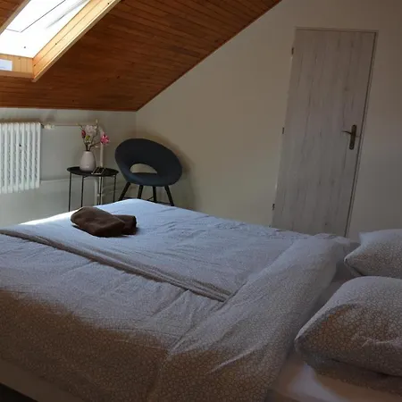 Apartmany U Batova Kanalu Guest house Petrov